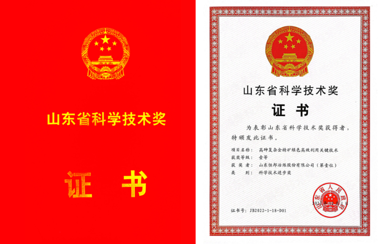 山東省科學(xué)技術(shù)獎(jiǎng)一等獎(jiǎng)